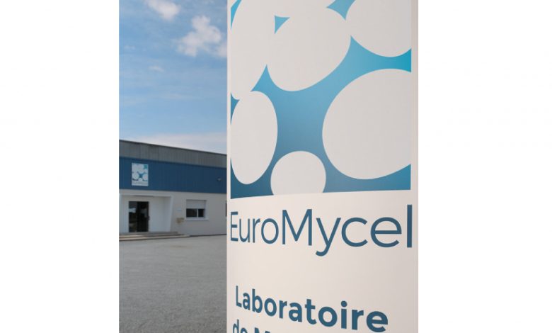 مزرعه پرورش قارچ Euromycel در فرانسه