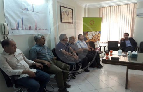 تولیدکنندگان قارچ خوراکی