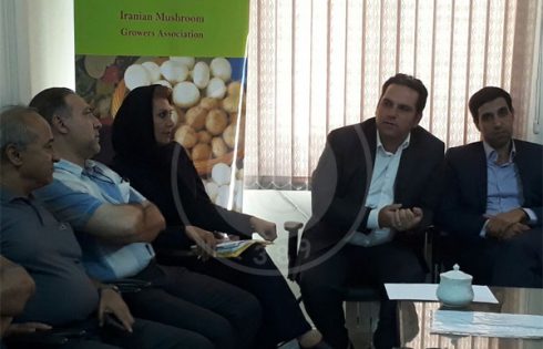 تولیدکنندگان قارچ خوراکی کشور