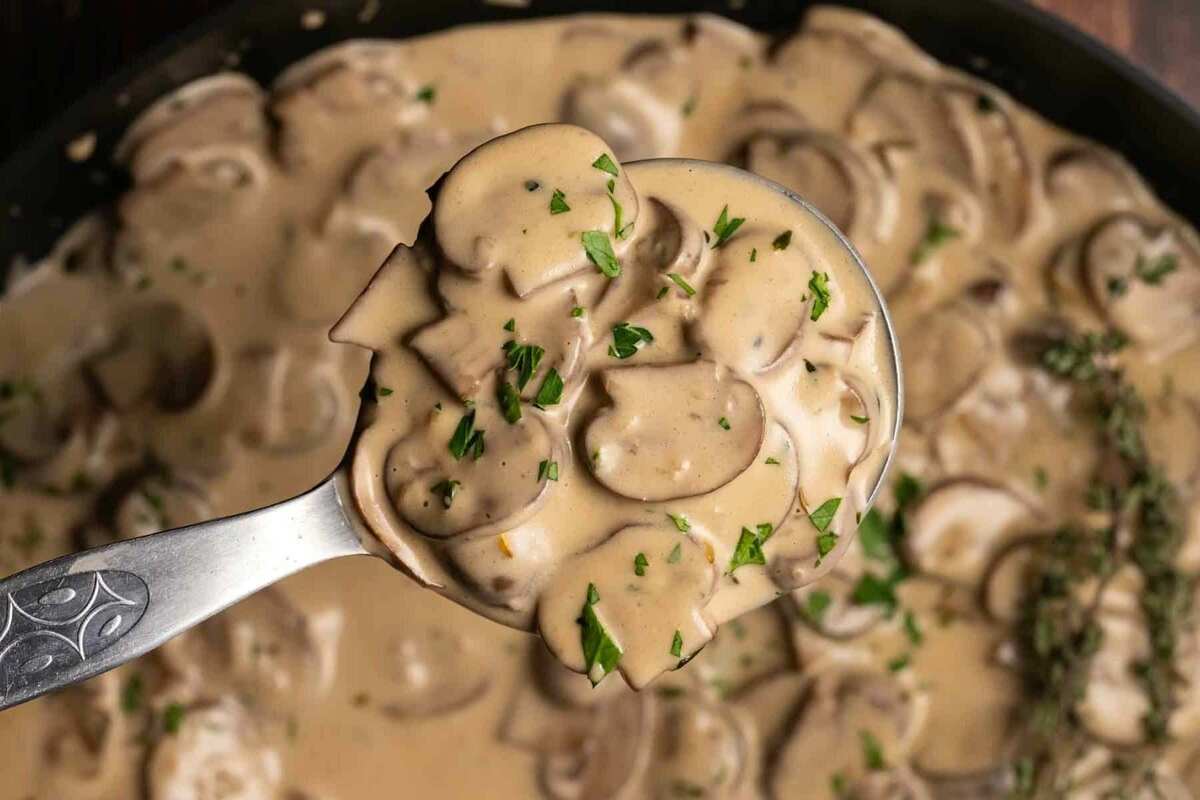 طرز تهیه قارچ ختمه