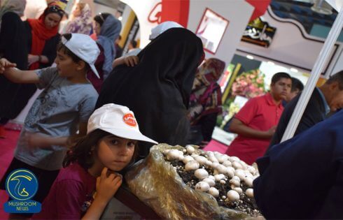 حضور کودکان در این عرضه‌گاه