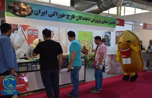 صنایع تبدیلی