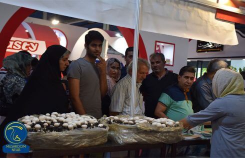 نمایشگاه آگروفود