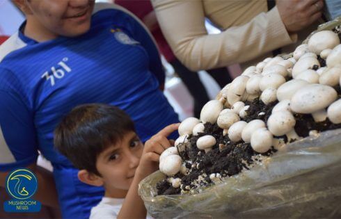 صنایع غدایی