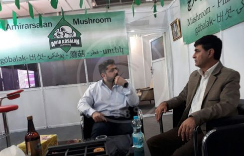 رسانه هاگ