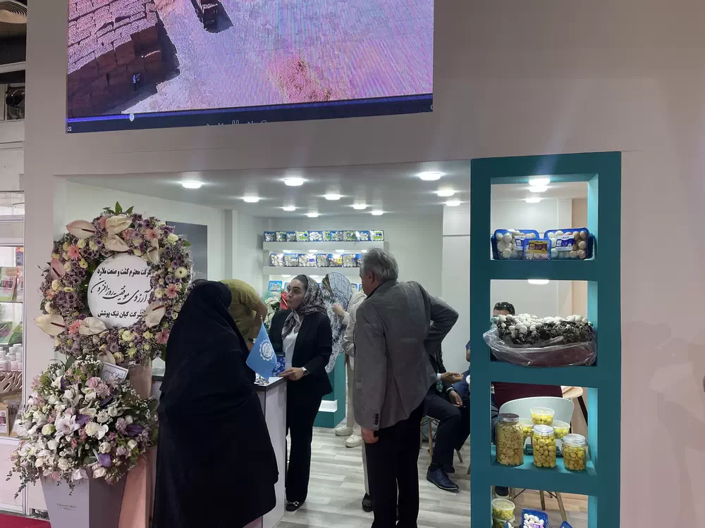 غرفه قارچ ملارد