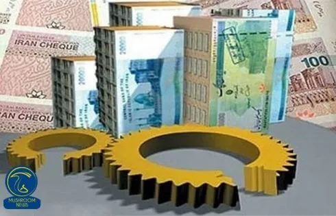 عکس مربوط به مقاله خبری اختصاص ۱۳ میلیارد ریال تسهیلات مشاغل خانگی در سال 97
