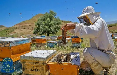 عکس مربوط به مقاله خبری ۲۰ میلیارد تسهیلات اشتغال‌زایی در شهرستان اندیکا در سال 97 است