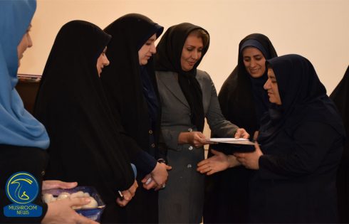 آشپزی با قارچ