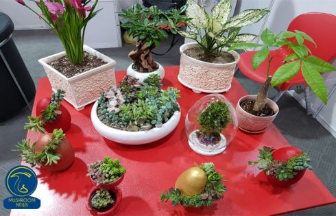 تصاویر چهارمین دوره نمایشگاه بین المللی