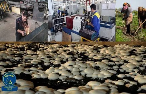 عکس مربوط به مقاله خبری افتتاح ۴۵۰ طرح اشتغال‌زایی در خراسان رضوی در سال 98
