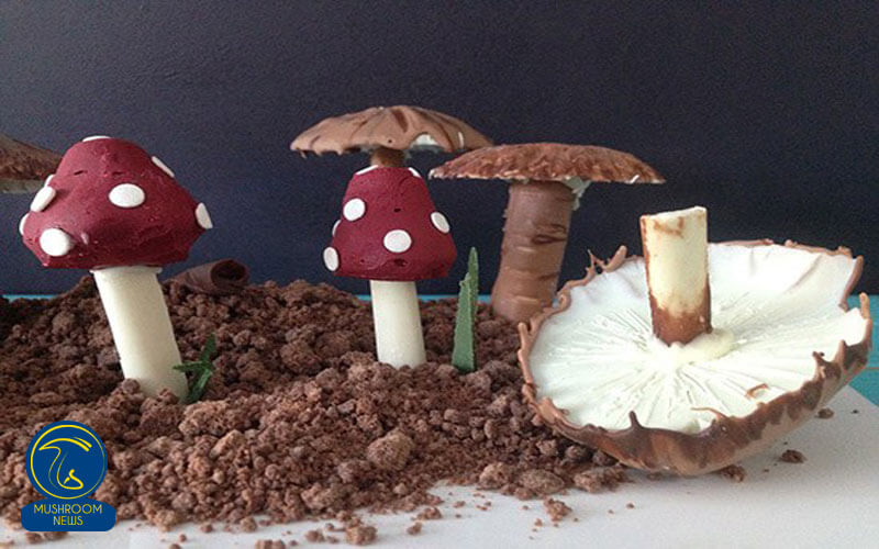 ساخت باغچه قارچ شکلاتی
