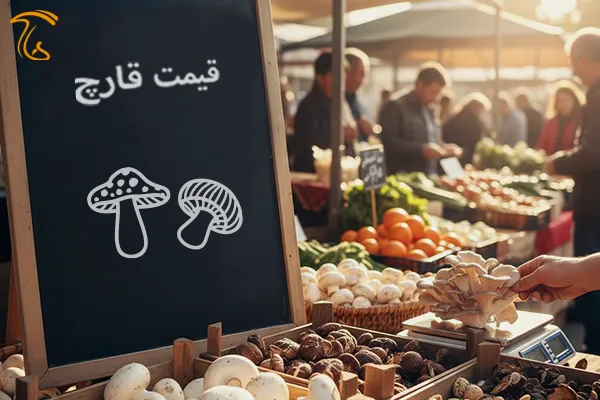 نرخنامه قارچ