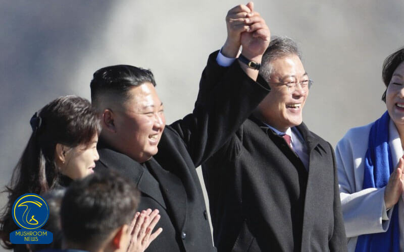 قارچ اهدایی رهبر کره شمالی به کره جنوبی