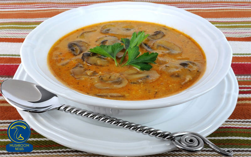 آموزش آشپزی با قارچ - طرز تهیه سوپ قارچ و سبزیجات