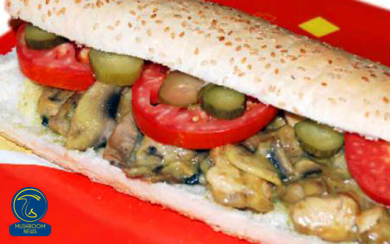 آموزش آشپزی با قارچ - طرز تهیه ساندویچ قارچ لبنانی - غذای گیاهی