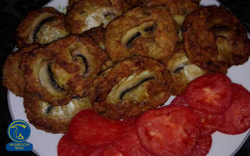 آموزش آشپزی با قارچ - دستور پخت شامی قارچ - غذای گیاهی