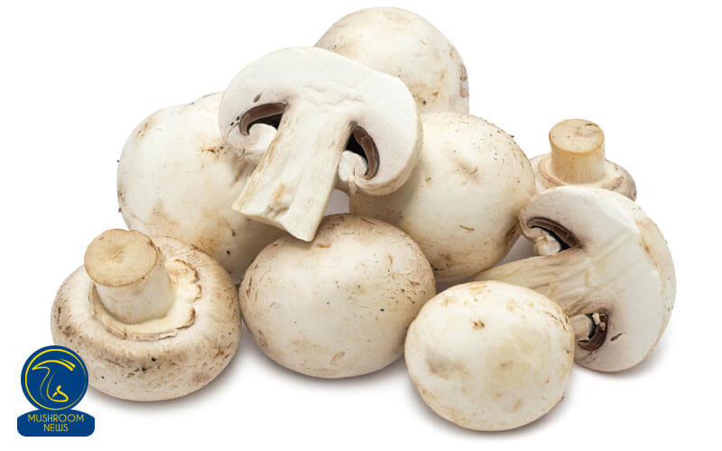 قارچ‌های سفید دوست داشتنی