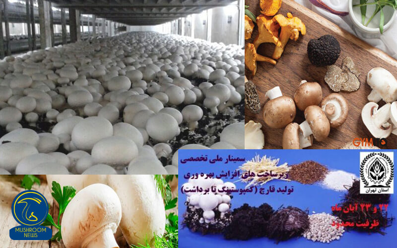 سمینار ملی تخصصی افزایش بهره‌وری تولید قارچ