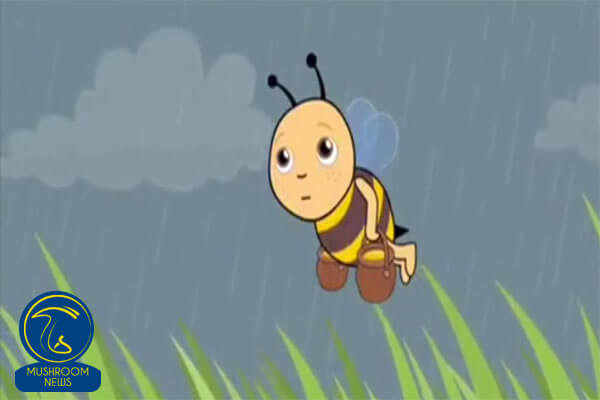 انیمیشن قارچ قرمز و زنبورعسل