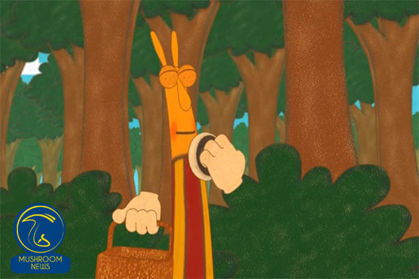 انیمیشن چیدن قارچ در جنگل