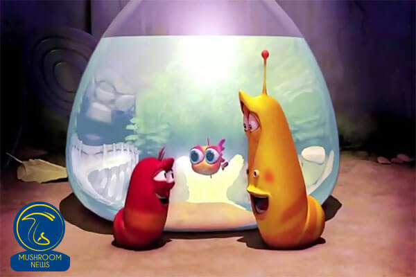 انیمیشن لاروا و قارچ
