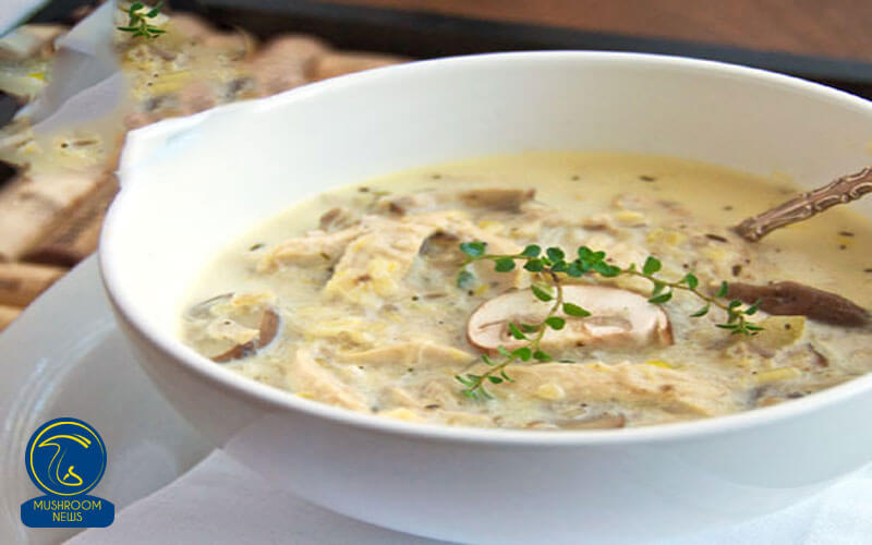 آموزش آشپزی با قارچ - دستور پخت سوپ مرغ و قارچ