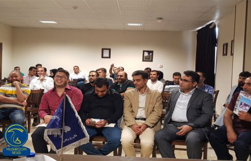 قارچ ملارد