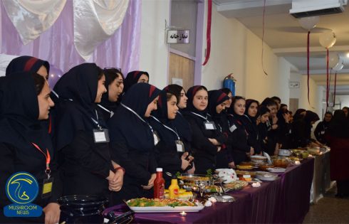 آشپزی با قارچ