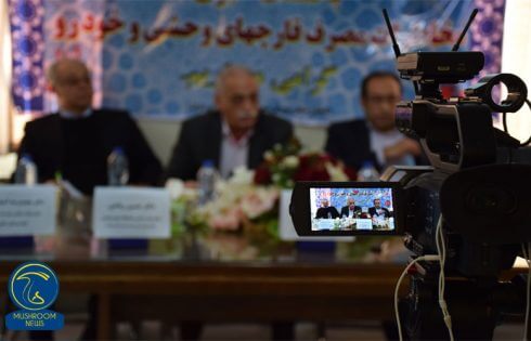 نشست خبری مخاطرات مصرف قارچ های وحشی