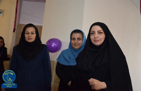 آشپزی با قارچ