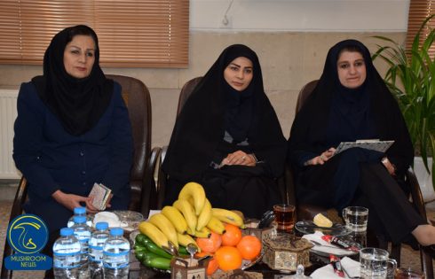 آشپزی با قارچ