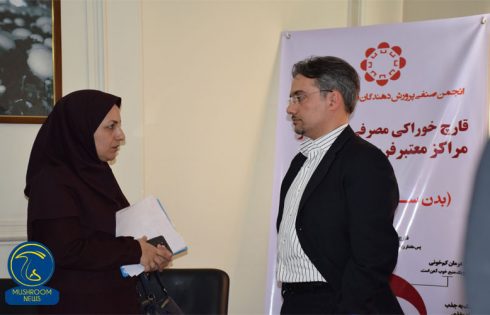 مصرف قارچ های وحشی