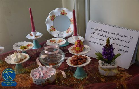 مصرف قارچ های وحشی