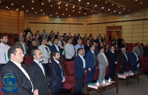 گردهمایی مدیریت تنظیم بازار قارچ کشور