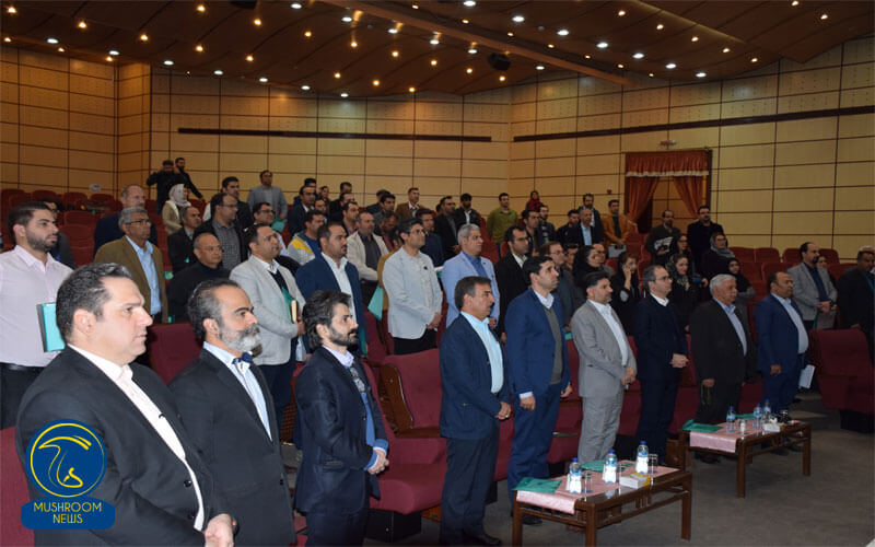 گردهمایی مدیریت تنظیم بازار قارچ کشور