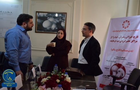 مصرف قارچ های وحشی