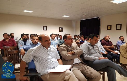 کلاس آموزشی تخصصی افزایش تولید قارچ