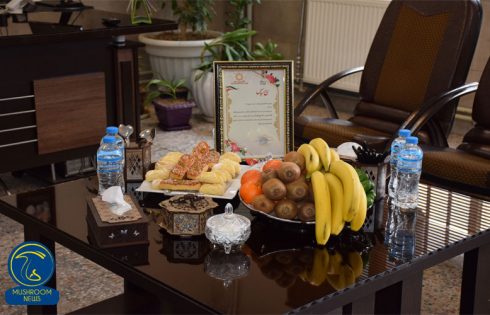 تصاویر اولین مسابقه آشپزی با قارچ در سطح مدارس