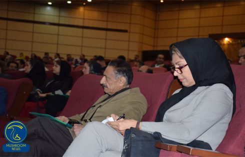 گردهمایی مدیریت تنظیم بازار قارچ کشور
