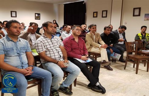 قارچ ملارد