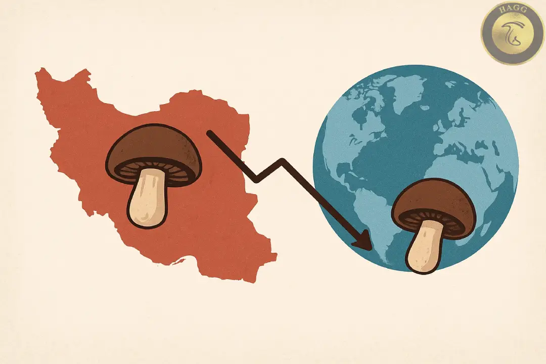 سرانه مصرف قارچ نسبت به جهان و ایران رتبه ششم تولید قارچ