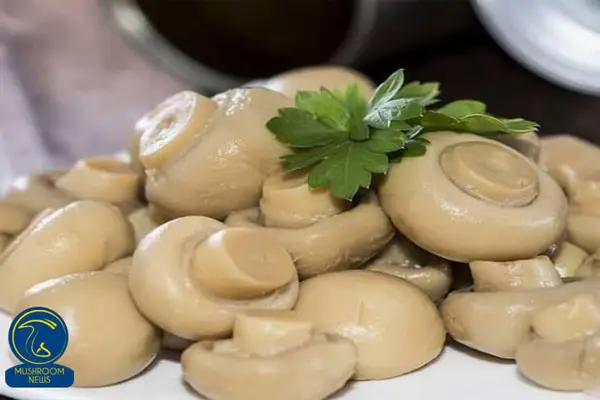 آموزش آشپزی با قارچ هاگ - طرز تهیه کنسرو قارچ خانگی