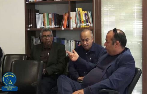 مجمع انجمن صنفی