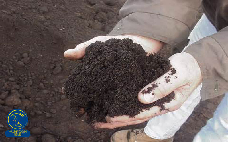 خصوصیات خاک پوششی در پرورش قارچ
