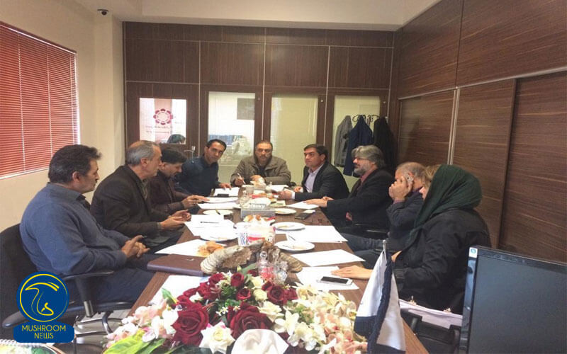 نشست بررسی اساسنامه صندوق حمایتی زنجیره قارچ