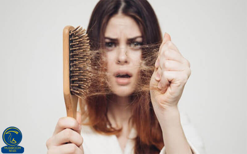 سلامت مو می تواند از تاثیر مصرف قارچ باشد