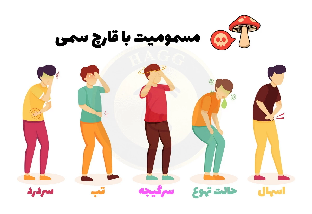 مسمومیت با قارچ سمی