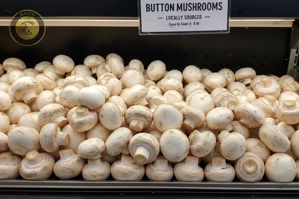 بیشترین فروش قارچ در جهان برای قلرچ سفید دکمه ای است