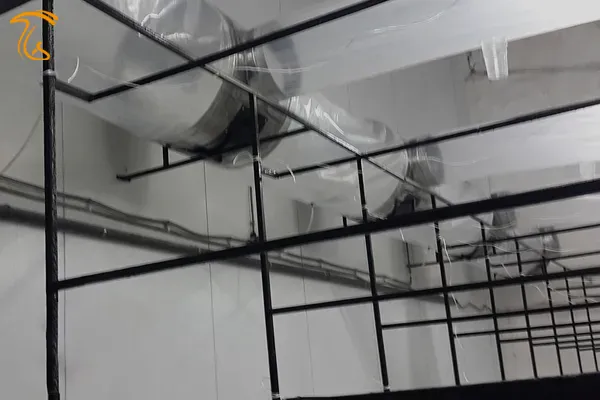 فلسفه وجودی هوادهی یا شوک در پرورش قارچ خوراکی